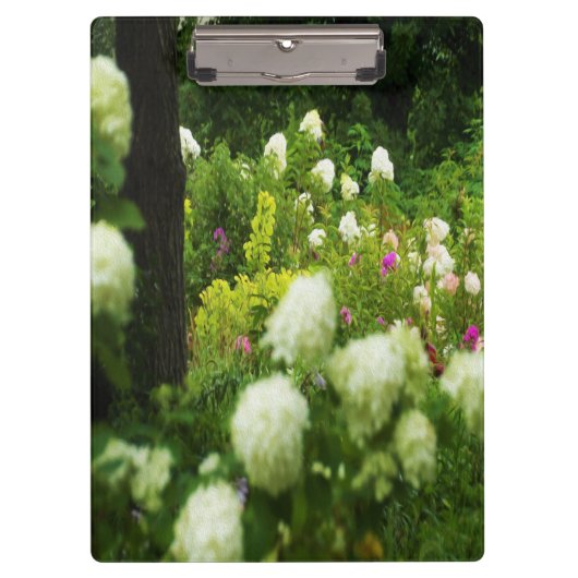 My Rubio Gardenのライムライトアジサイ クリップボード (正面)