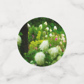 My Rubio Gardenのライムライトアジサイ コンフェッティ (スモール正面)