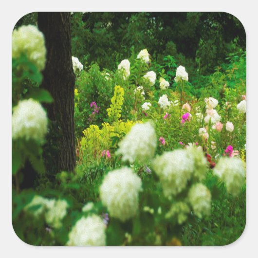 My Rubio Gardenのライムライトアジサイ スクエアシール (正面)