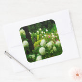 My Rubio Gardenのライムライトアジサイ スクエアシール (封筒)