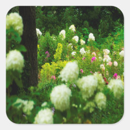 My Rubio Gardenのライムライトアジサイ スクエアシール