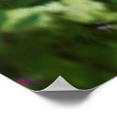 My Rubio Gardenのライムライトアジサイ ポスター (角)