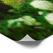 My Rubio Gardenのライムライトアジサイ ポスター (角)