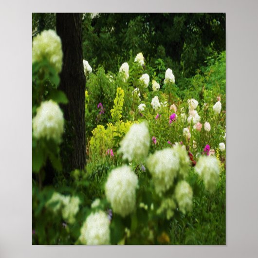 My Rubio Gardenのライムライトアジサイ ポスター (正面)