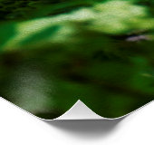 My Rubio Gardenのライムライトアジサイ ポスター (コーナー)