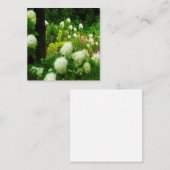 My Rubio Gardenのライムライトアジサイ 割引カード (正面/裏面)