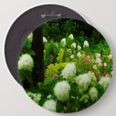 My Rubio Gardenのライムライトアジサイ 缶バッジ (正面&裏面)