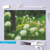 My Rubio Gardenのライムライトアジサイ 薄葉紙 (クラフト)