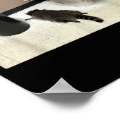 My Srit Animal Drunk Raccoon Funny Lazy Mood  ポスター (角)