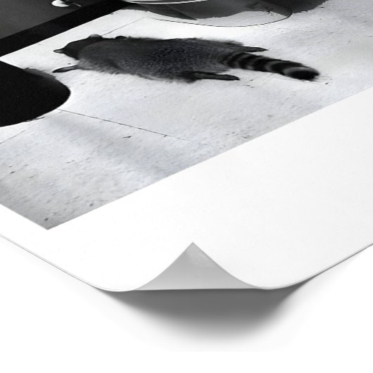 My Srit Animal Funny Drunk Raccoon Meme  ポスター (角)