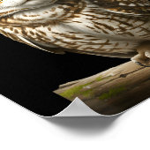 My Srit Animal Funny Meowl, Cursed Cat Owl Brainro ポスター (角)