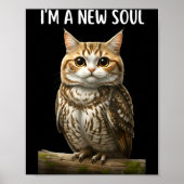 My Srit Animal Funny Meowl, Cursed Cat Owl Brainro ポスター (正面)