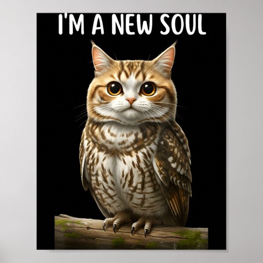 My Srit Animal Funny Meowl, Cursed Cat Owl Brainro ポスター (正面)