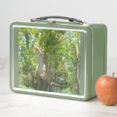 My T-Rex Dinosaur メタルランチボックス (インサイチュ)