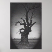 my twisted soul ポスター (正面)