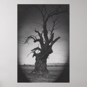my twisted soul ポスター