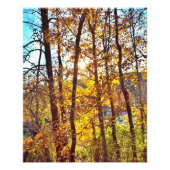 my view フォトプリント            (正面)