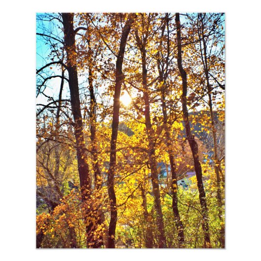 my view フォトプリント            (正面)