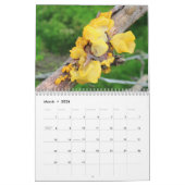 Mycelium, Mushrooms and Fungus カレンダー (3月 2026)