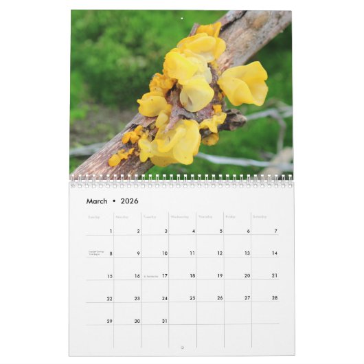 Mycelium, Mushrooms and Fungus カレンダー (3月 2026)