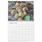 Mycelium, Mushrooms and Fungus カレンダー (2月 2027)