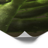 Mycobacterium tuberculosis cells ポスター (角)