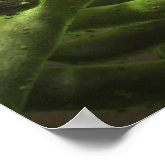 Mycobacterium tuberculosis cells ポスター (角)