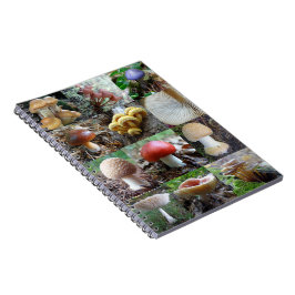 MycoJournal ノートブック