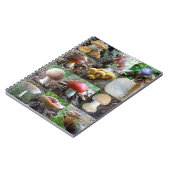 MycoJournal ノートブック (左側)