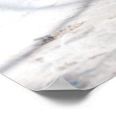 Mykonos cat – ポスター (角)