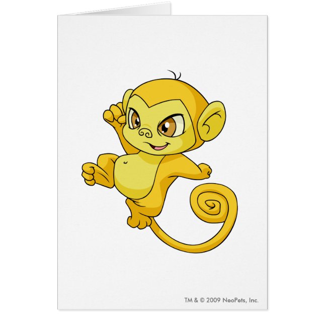 Mynciの黄色 (正面)