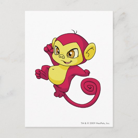 Mynci赤 ポストカード (正面)