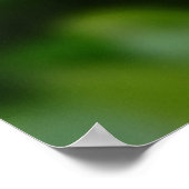 Myosotis sylvatica - Me 忘れ Nots ポスター (角)