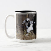 MYOTONICはコーヒー・マグをからかいます ツートーンマグカップ (左)