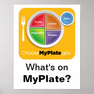 MyPlateの内容ポスター – オレンジ(白) ポスター