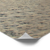 Myrtle Beach State Park, South Carolina ポスター (角)