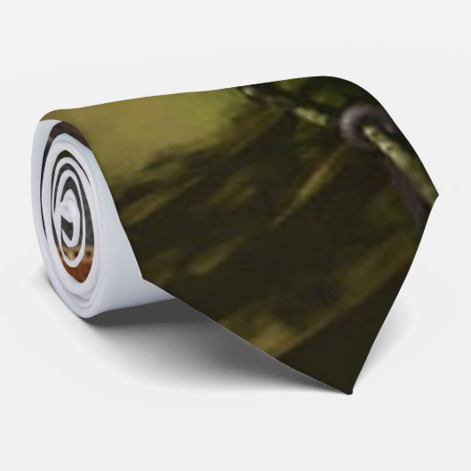 mystのタイ ネクタイ (ロール)