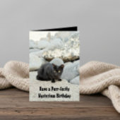 Mysterious black birthday cat カード