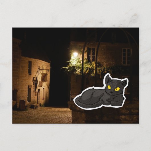 Mysterious Cat ポストカード (正面)