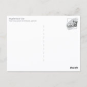 Mysterious Cat ポストカード (裏面)