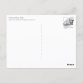 Mysterious Cat ポストカード (裏面)