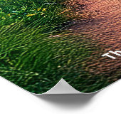 Mysterious Houses of Donnelly - No4 Mombasa Kenya  ポスター (角)