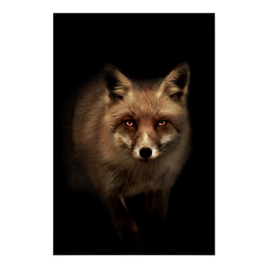 Mystic Fox ポスター (正面)