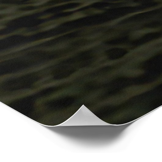 Mystic Sunset Double Vision  ポスター (角)