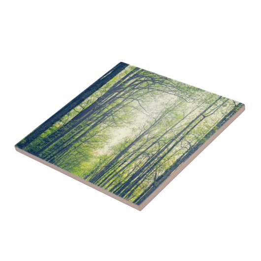 Mystical forest タイル (側面)