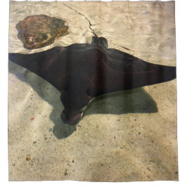 Mystical Stingray シャワーカーテン