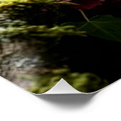 Mystical Woodland Moth ポスター (コーナー)