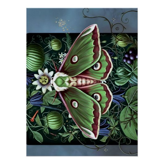 Mystical Woodland Moth ポスター (正面)