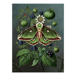 Mystical Woodland Moth ポスター
