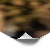 Mystical Woodland Moth ポスター (コーナー)